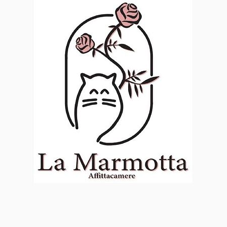 Hotel La Marmotta à Luserna San Giovanni Extérieur photo