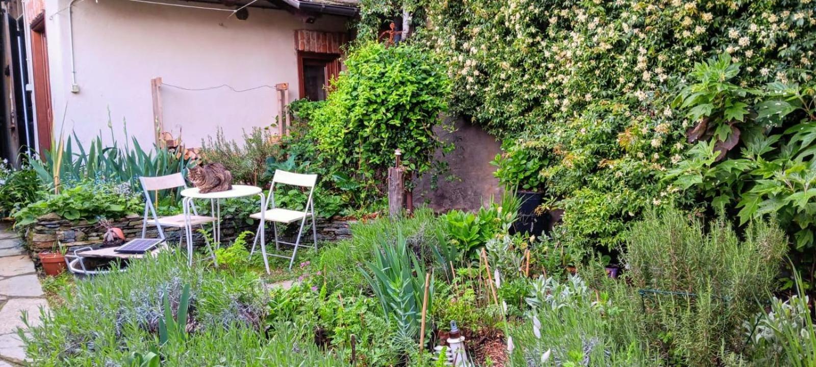 Hotel La Marmotta à Luserna San Giovanni Extérieur photo