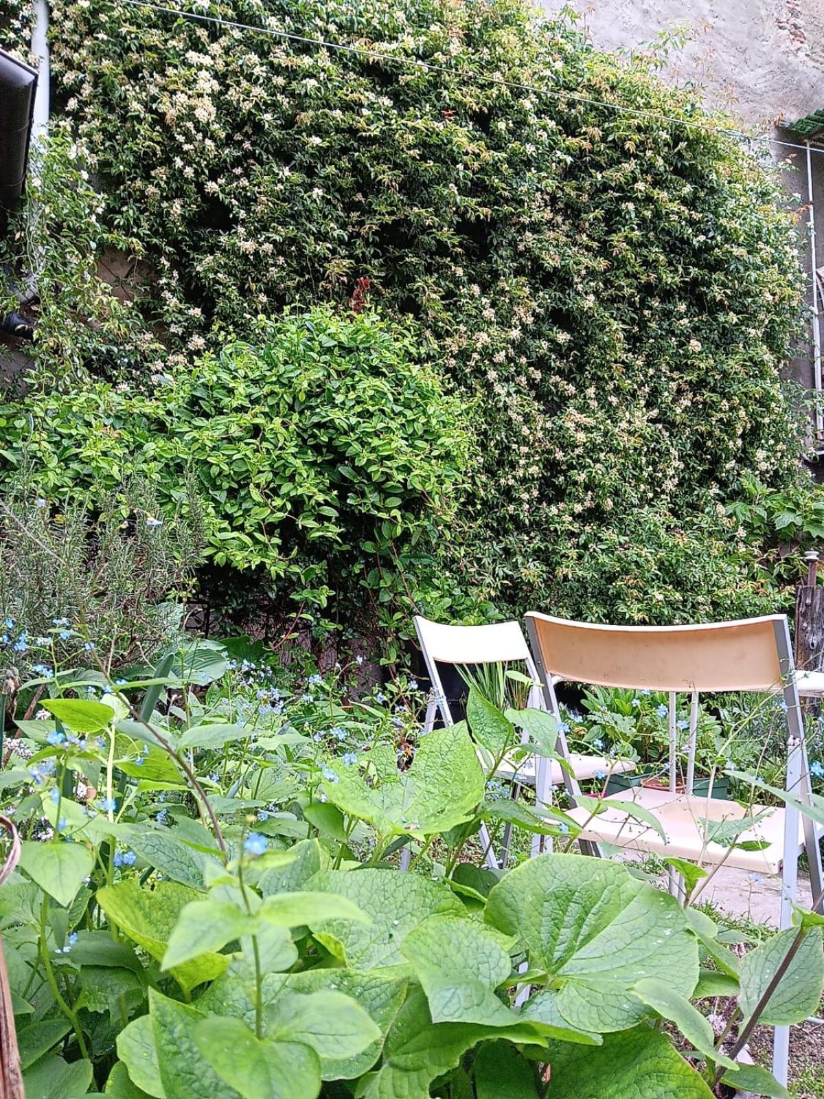 Hotel La Marmotta à Luserna San Giovanni Extérieur photo
